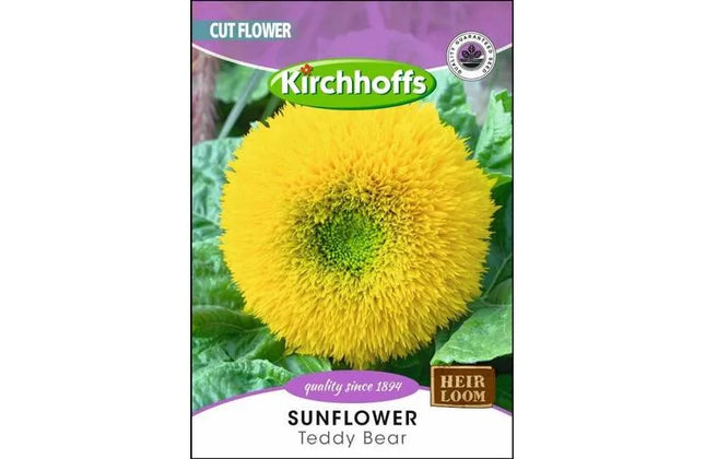 Flower Seed Sunflower Kirchhoffs-Teddy Bear-Picture Packet