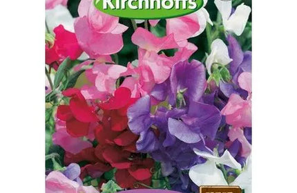 Flower Seed Sweetpea Kirchhoffs-Bijou Mixed (dwarf)-Picture Packet