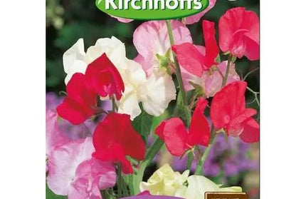 Flower Seed Sweetpea Kirchhoffs-Tall Mixed (climber)-Picture Packet