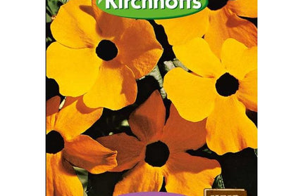 Flower Seed Thunbergia Kirchhoffs-Black Eyed Susan-Picture Packet