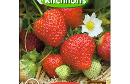 Fruit Seed Strawberry Kirchhoffs-Fresca-Picture Packet