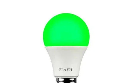 Globe A60 E27 LED Flash »-Green