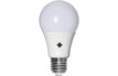 B22 (6w) / Daylight