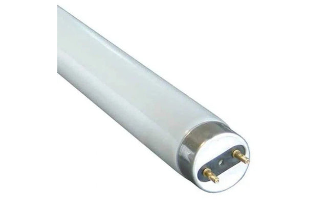 Globe Florescent Tube T8-5ft (58w)-Daylight