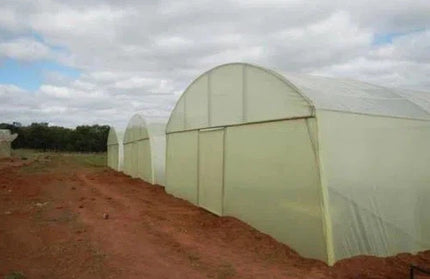 Greenhouse Sheeting 𝑇0.2𝑚𝑚 EVADEK Gundle »-𝑊3𝑚 x 𝐿 𝑝/𝑚eter-Green Diffused