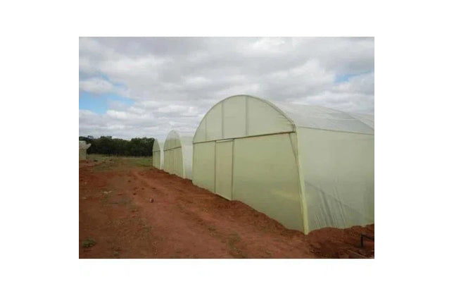 Greenhouse Sheeting 𝑇0.2𝑚𝑚 EVADEK Gundle »-𝑊3𝑚 x 𝐿 𝑝/𝑚eter-Green Diffused