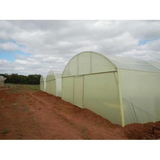 Greenhouse Sheeting EVADEK Gundle 𝑝/𝑚eter »-Greenhouses-Gundle-𝑊3m x 𝑇200μm-Green Diffused-diyshop.co.za