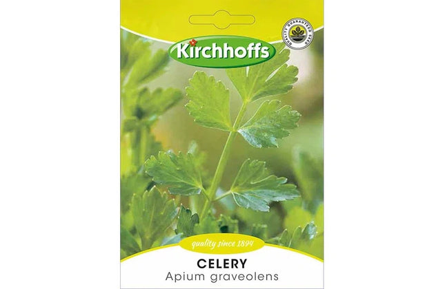 Herb Seed Celery Kirchhoffs-Apium Gravealens-Picture Packet