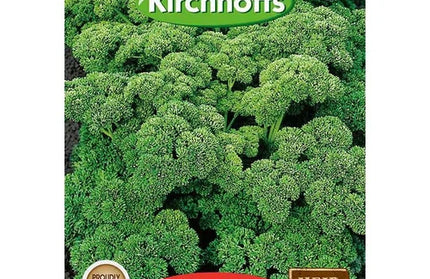 Herb Seed Parsley Kirchhoffs-Champion Moss Curled-Picture Packet