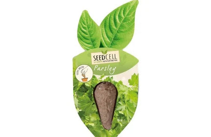 Herb Seed Parsley SeedCell-Single Pod-
