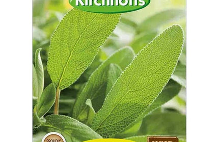 Herb Seed Sage Kirchhoffs-Salvia Officianalis-Picture Packet