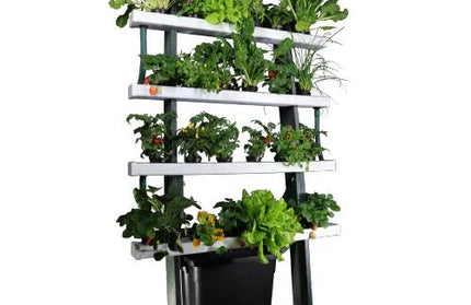 Hydroponic Growing System Kit Marley-