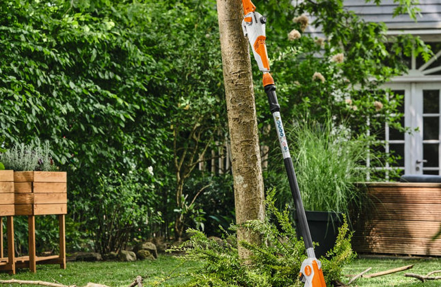 Pole Pruner Cordless ASˢ HTA30 STIHL