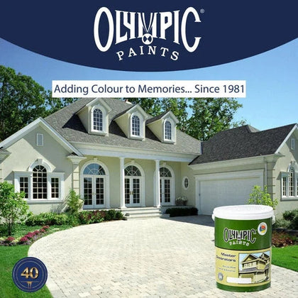 Paint PVA Master Decorators Olympic-Brazil Nut-20ℓ-