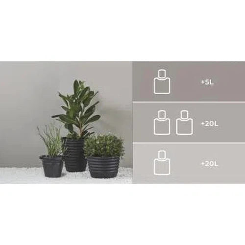 Paint Tint Color Pro Duram-Almond-80mℓ-