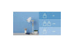 Lagoon / 80mℓ