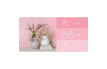 Rose / 80mℓ