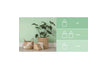 Spring / 80mℓ