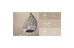 Stone / 80mℓ