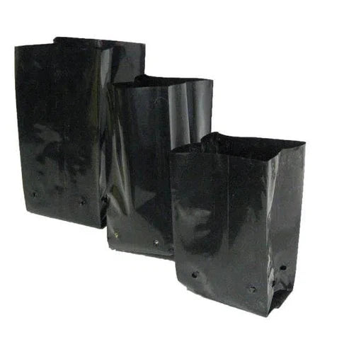 Planting Bag Loose-Pot & Planter Liners-Kirchhoffs-1.25L-diyshop.co.za