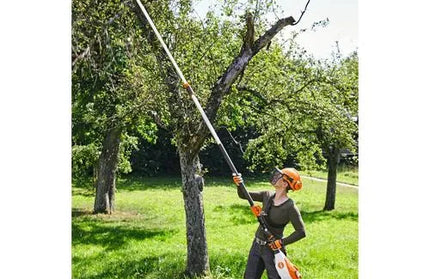 Pole Pruner Cordless APˢ HTA135 STIHL-30𝑐𝑚/🟡61PMM3-44𝐷𝐿-Tool Only-