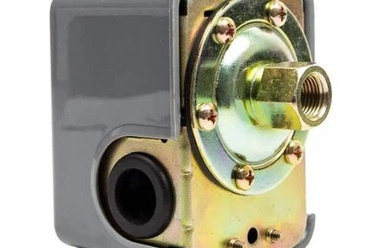 Pressure Switch for Pressure Pump Pascali-4.6℔ (grey)