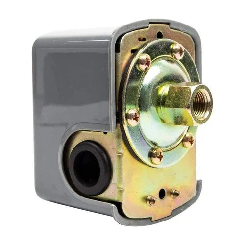 Pressure Switch for Pressure Pump Pascali-4.6℔ (grey)-