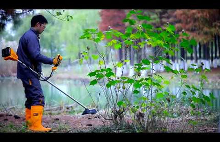 INGCO Lithium-Ion String Trimmer and Brush Cutter 40V CSTLI20018 – official INGCO South Africa video