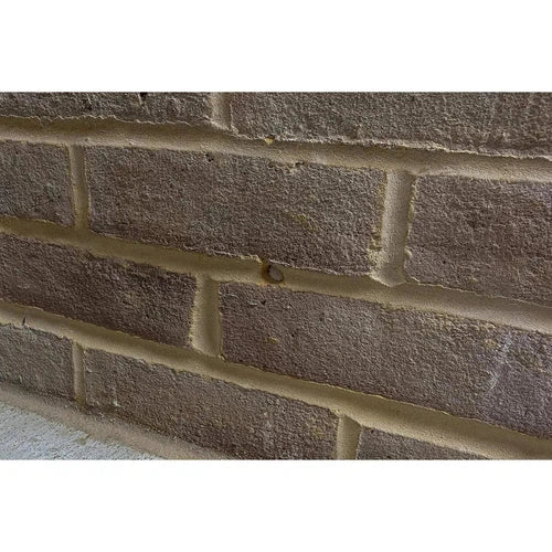 Rising Damp Treatment DryRod®