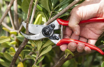 Secateurs Bypass Felco »-F6/𝐿19.5𝑐𝑚/219𝑔/⌀20𝑐𝑚-