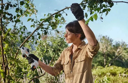 Secateurs Cordless ASˢ ASA20 STIHL-Tool Only-