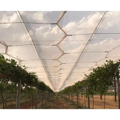 Shade Netting Agricultural Premuim-20% White-𝑤3m x 𝐿 𝑝/𝑚eter-