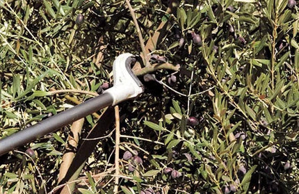 Special Harvester Hook Only for Olive Shaker STIHLⓓ-
