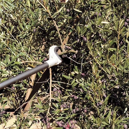Special Harvester Hook Only for Olive Shaker STIHLⓓ-