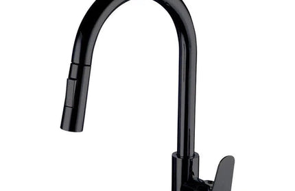 Tap Sink Kitchen Mixer Pull out Spout Rounded Lever-Matt Black