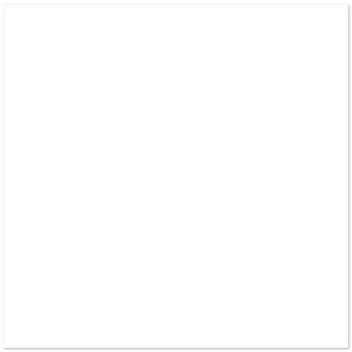 Tile 60x60cm RG10004B Matt White-