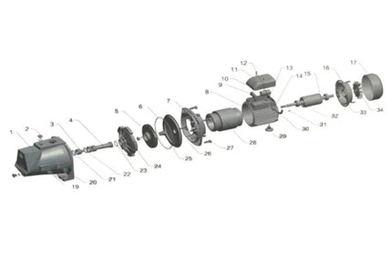 Vane for Pressure Pump Jet Self Priming 0.75kwⓓ-