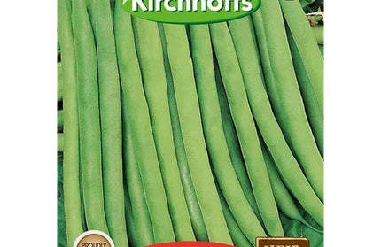 Vegetable Seed Bean Kirchhoffs-Bush Contender-Picture Packet