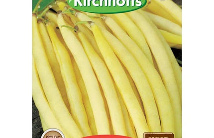 Vegetable Seed Bean Kirchhoffs-Bush Yellow Berggold-Picture Packet