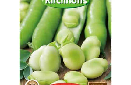 Vegetable Seed Broad Bean Kirchhoffs-Longpod Aquadulce-Picture Packet