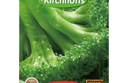 Vegetable Seed Broccoli Kirchhoffs-Green Sprouting Calabrese-Picture Packet