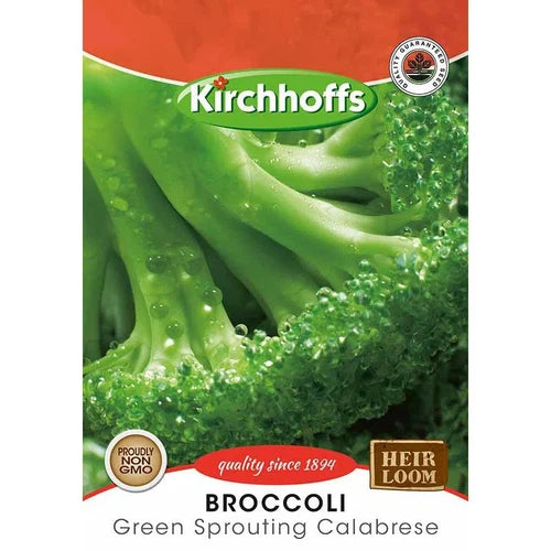 Vegetable Seed Broccoli Kirchhoffs-Green Sprouting Calabrese-Picture Packet-