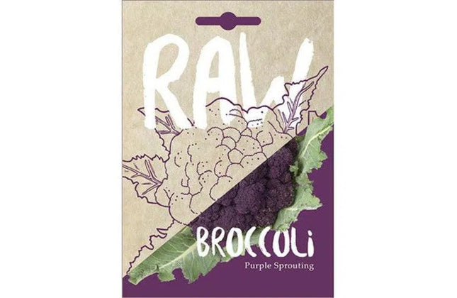 Vegetable Seed Broccoli RAW-Purple Sprouting-Picture Packet