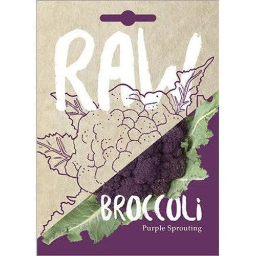 Vegetable Seed Broccoli RAW-Purple Sprouting-Picture Packet-