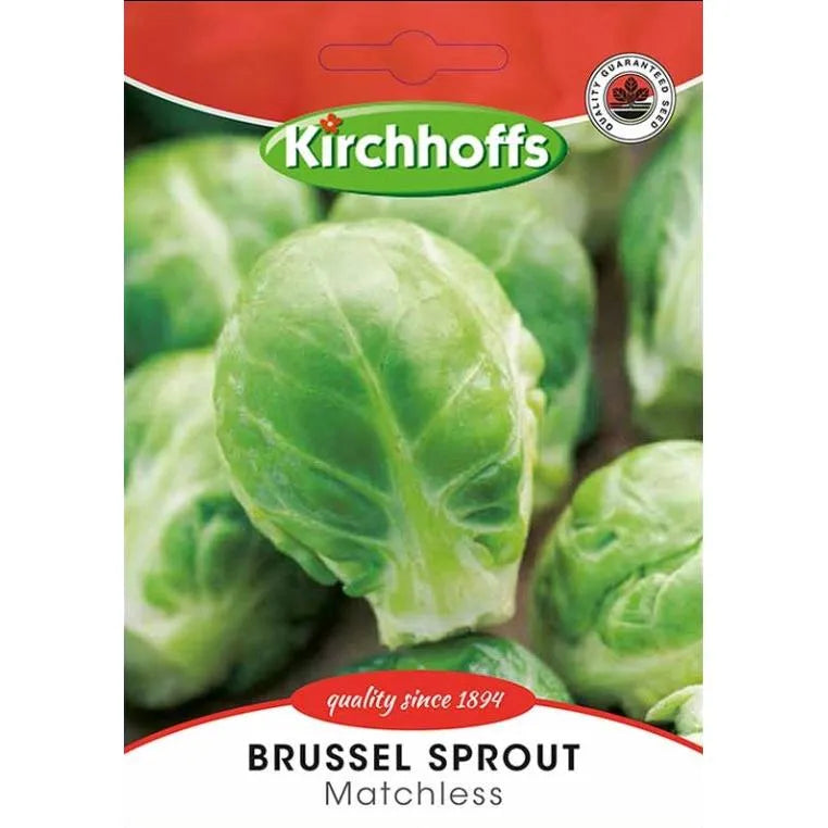 Vegetable Seed Brussel Sprout Kirchhoffs-Long Island/Matchless-Picture Packet-