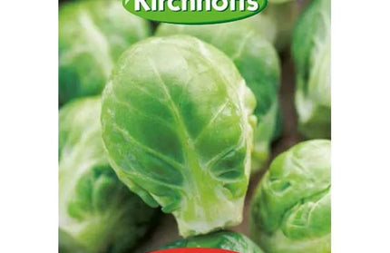 Vegetable Seed Brussel Sprout Kirchhoffs-Long Island/Matchless-Picture Packet