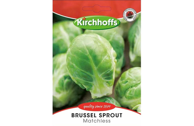 Vegetable Seed Brussel Sprout Kirchhoffs-Long Island/Matchless-Picture Packet