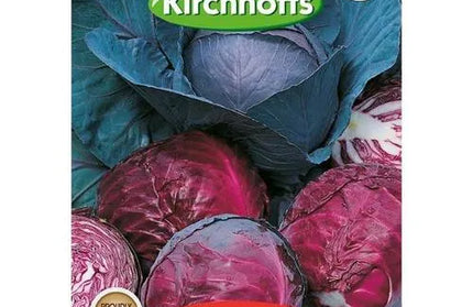 Vegetable Seed Cabbage's Kirchhoffs-Baby Red Primero-Picture Packet