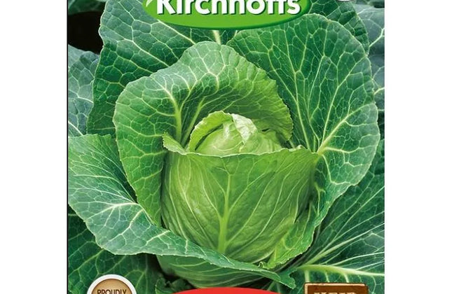 Vegetable Seed Cabbage's Kirchhoffs-Cape Spits (sugarloaf)-Picture Packet