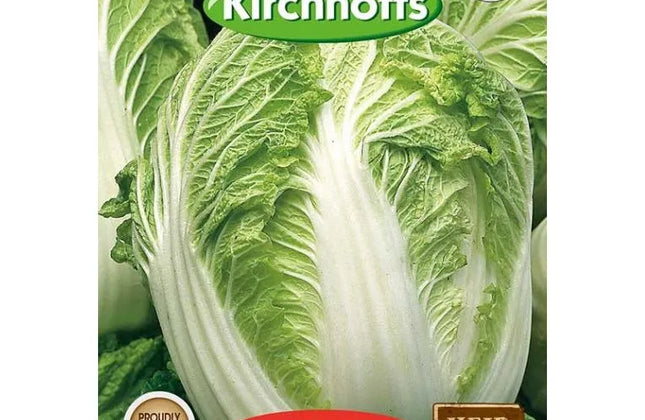 Vegetable Seed Cabbage's Kirchhoffs-Chinese Michilli-Picture Packet